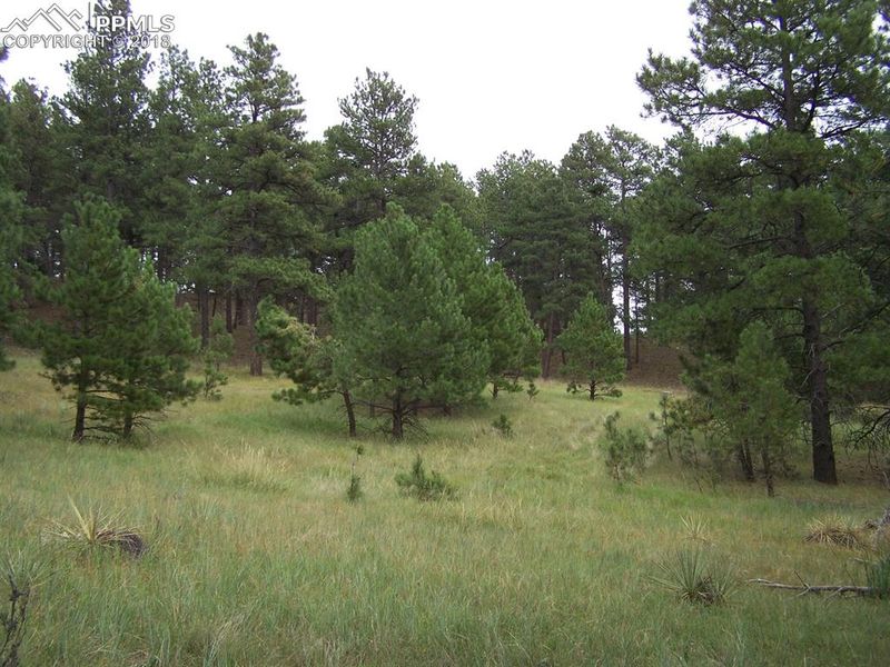 18495 Steeplechase Dr, Peyton, CO 80831