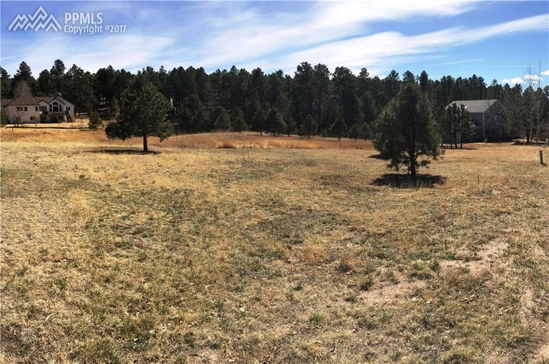 18555 Augusta Dr, Monument, CO 80132