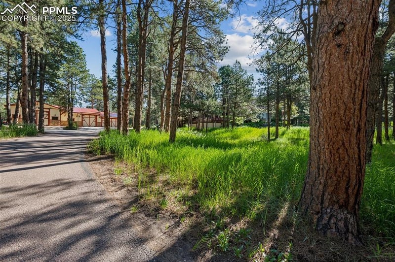 18585 Arrowwood Dr, Monument, CO 80132