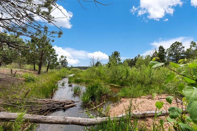 18590 Cloven Hoof Rd, Palmer Lake, CO 80133
