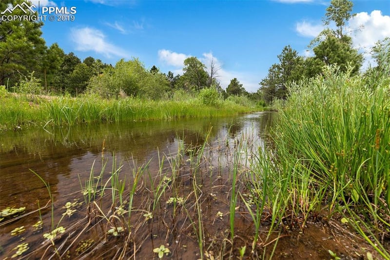 18590 Cloven Hoof Rd, Palmer Lake, CO 80133