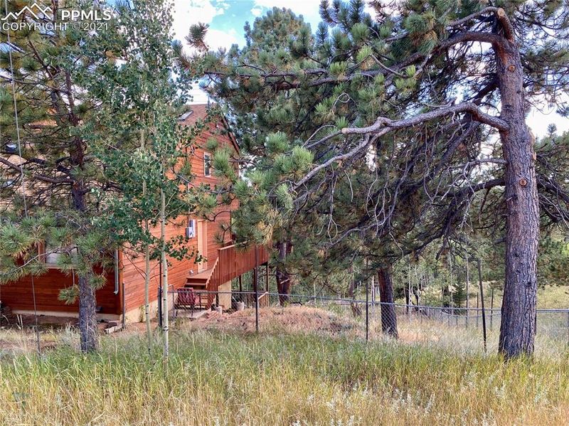 186 Wayward Wind Rd, Divide, CO 80814