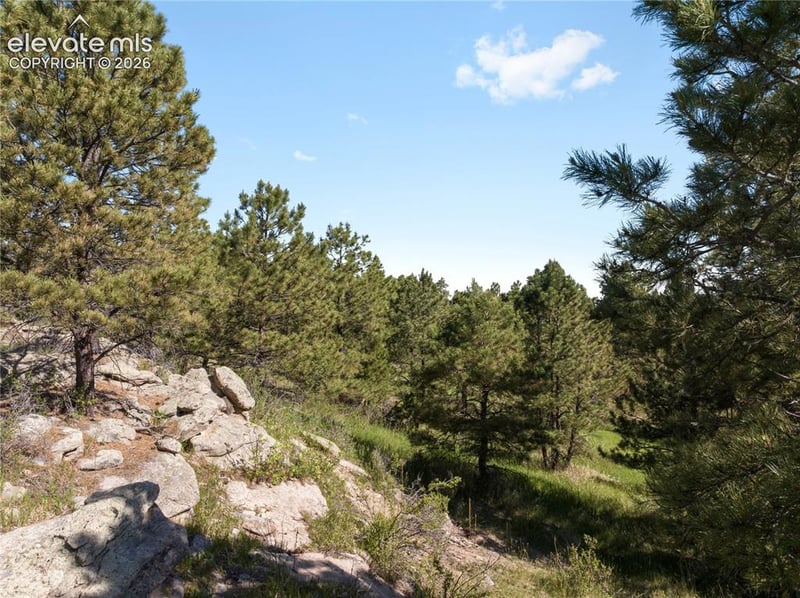 18673 Elbert Rd, Elbert, CO 80106