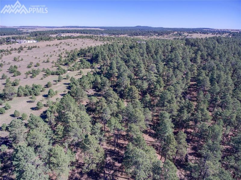 1868 E Baptist Rd, Colorado Springs, CO 80921