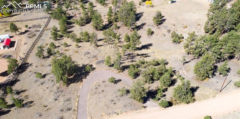 187 Circle Dr, Florissant, CO 80816