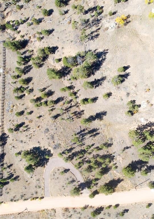 187 Circle Dr, Florissant, CO 80816