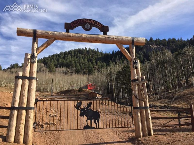 18766 S Highway 67 Hw, Divide, CO 80814