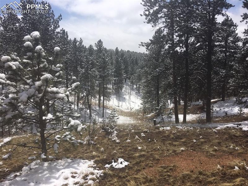 1878 Spring Creek Dr, Divide, CO 80814