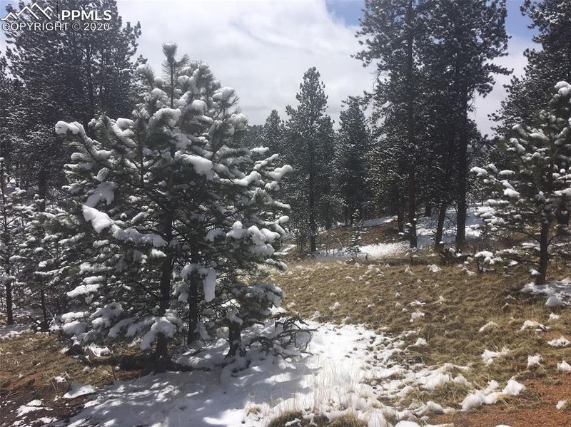 1878 Spring Creek Dr, Divide, CO 80814