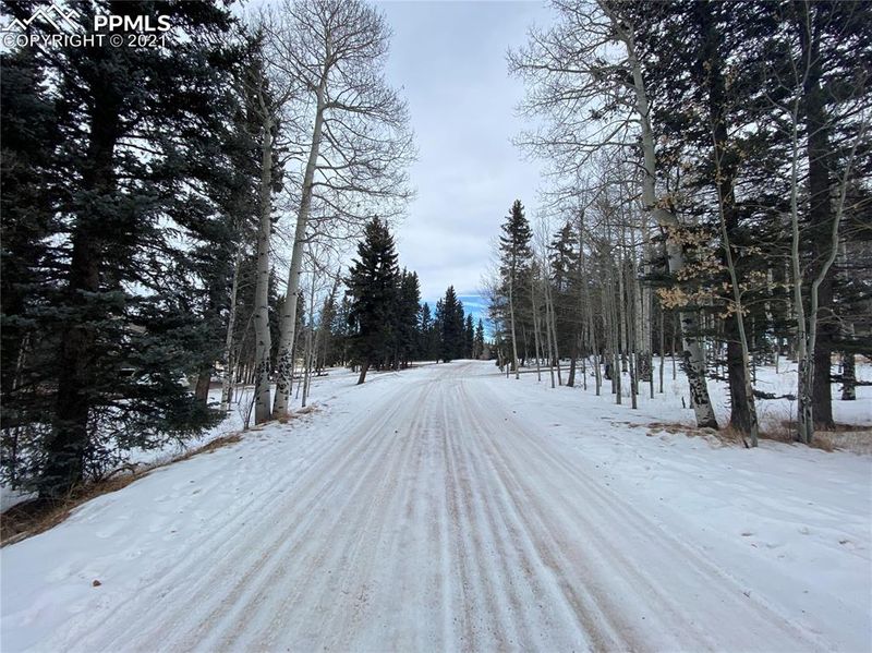 188 Joshua Rd, Divide, CO 80814