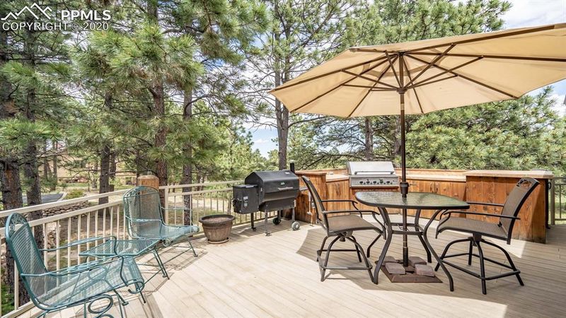 18881 Pagentry Pl, Monument, CO 80132
