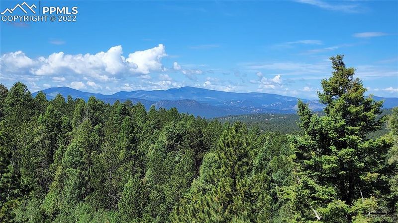 189 Spring Creek Dr, Divide, CO 80814