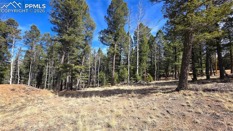 19 Serenity Cir, Florissant, CO 80816