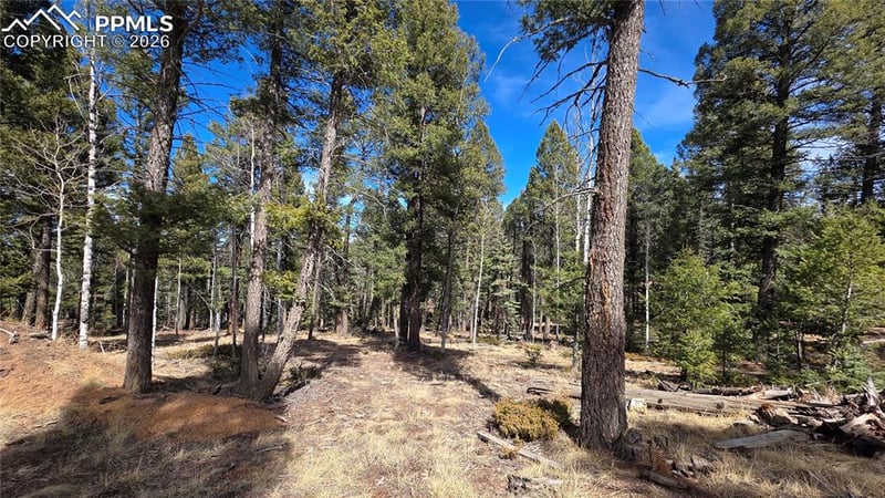 19 Serenity Cir, Florissant, CO 80816