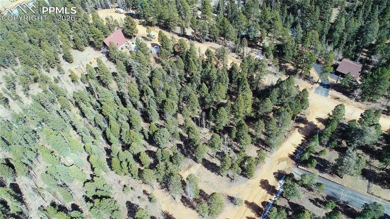 19 Serenity Cir, Florissant, CO 80816