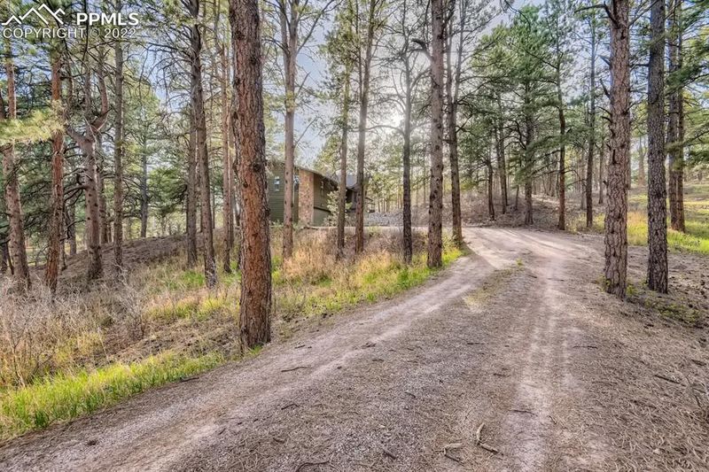 19010 Burnt Leaf Way, Monument, CO 80132