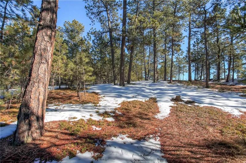 19015 Pebble Beach Way, Monument, CO 80132
