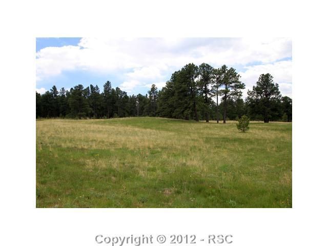 19016 Harrogate Dr, Monument, CO 80132