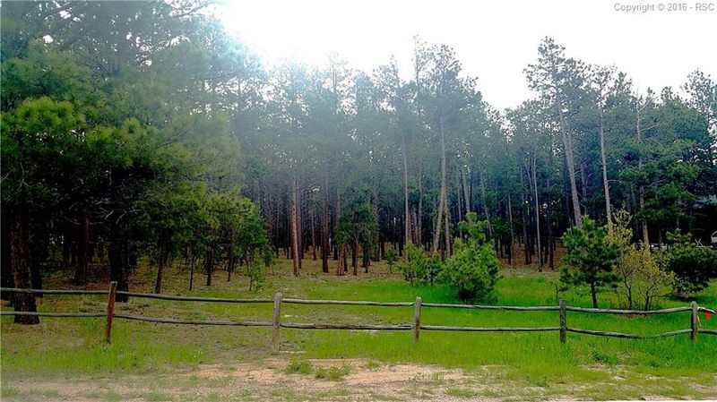 19045 Furrow Rd, Monument, CO 80132