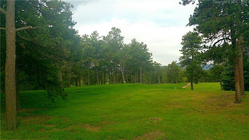 19045 Furrow Rd, Monument, CO 80132