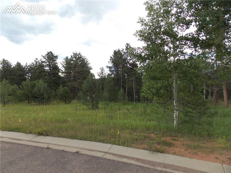 191 Eagle Pines Dr, Woodland Park, CO 80863