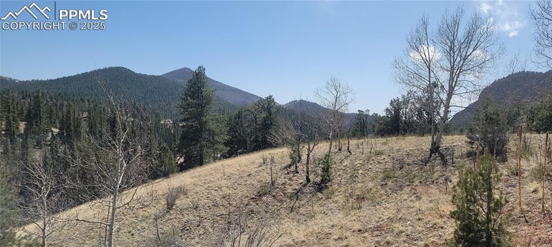 191 Portland Dr, Cripple Creek, CO 80813