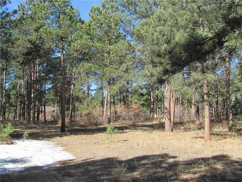 19135 Doewood Dr, Monument, CO 80132
