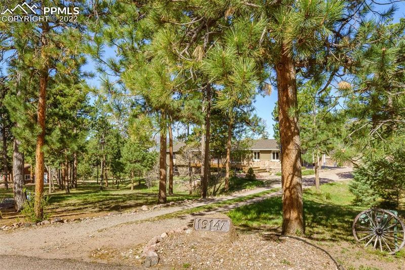 19147 Strawberry Ln, Monument, CO 80132