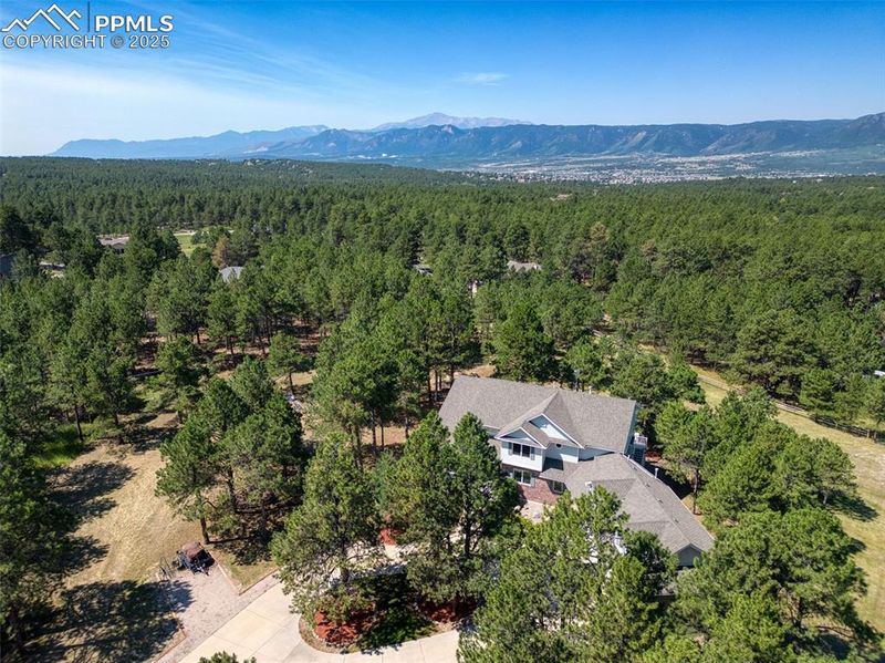 19170 Langtree Ct, Monument, CO 80132