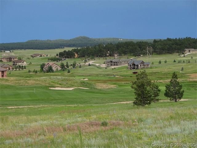 19175 Lochmere Ct, Monument, CO 80132