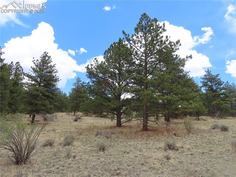 192 Cheyenne Way, Divide, CO 80814