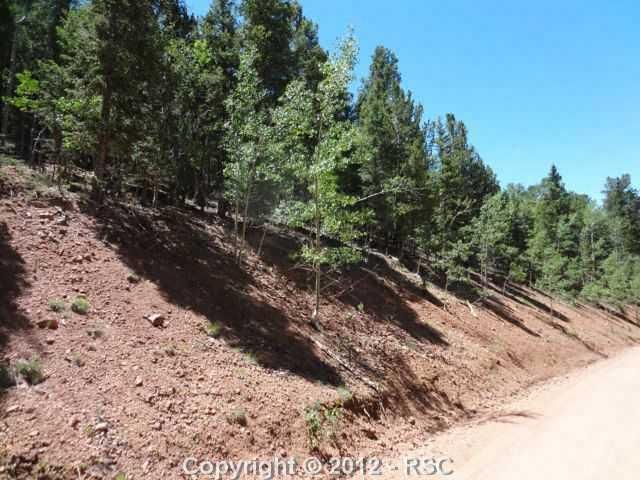 192 Witherite Dr, Divide, CO 80814