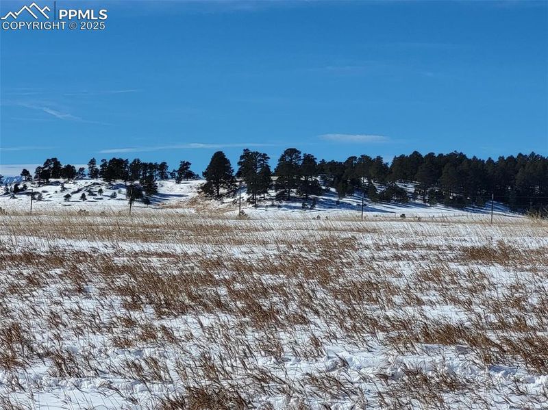 19230 Mariah Trl, Colorado Springs, CO 80908