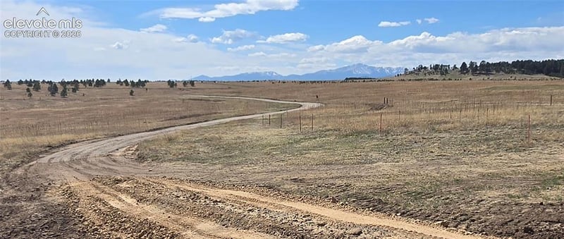 19235 Mariah Trl, Colorado Springs, CO 80908