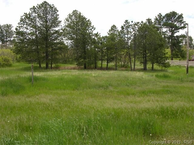 19295 Wakonda Way, Monument, CO 80132