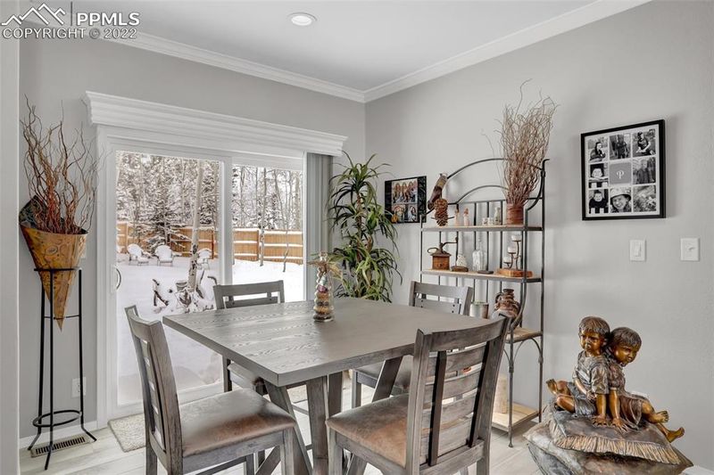 193 Minstrel Dr, Divide, CO 80814
