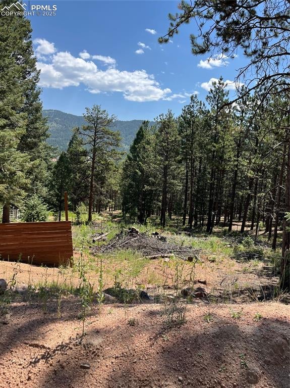 193 Summer Haven Dr, Woodland Park, CO 80863