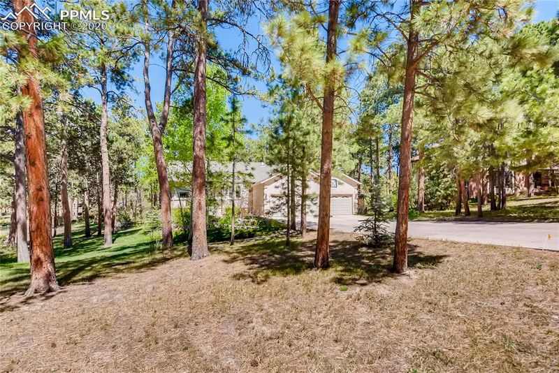 19340 Glen Hollow Cir, Monument, CO 80132