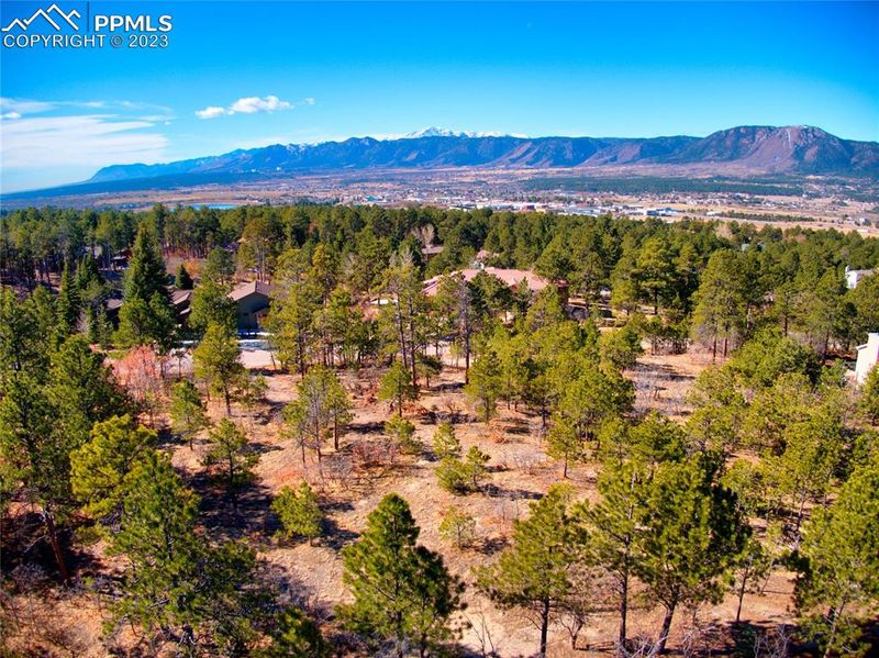 19385 Doewood Dr, Monument, CO 80132
