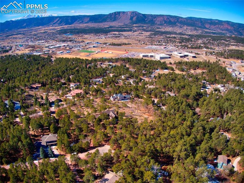 19385 Doewood Dr, Monument, CO 80132
