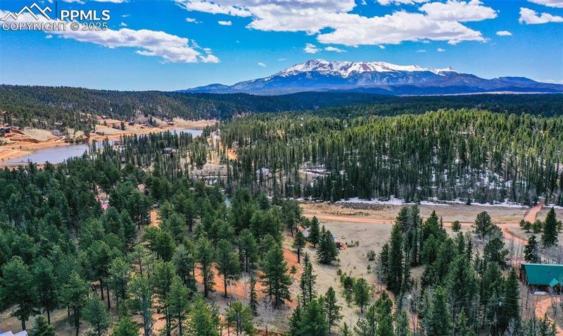 194 Rainbow Trl, Divide, CO 80814