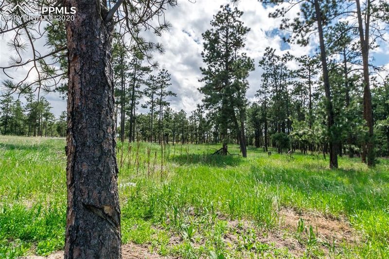 19405 Hilltop Pines Pa, Monument, CO 80132