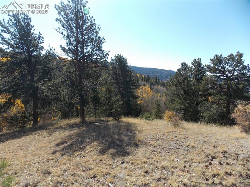 1944 May Queen Dr, Cripple Creek, CO 80813
