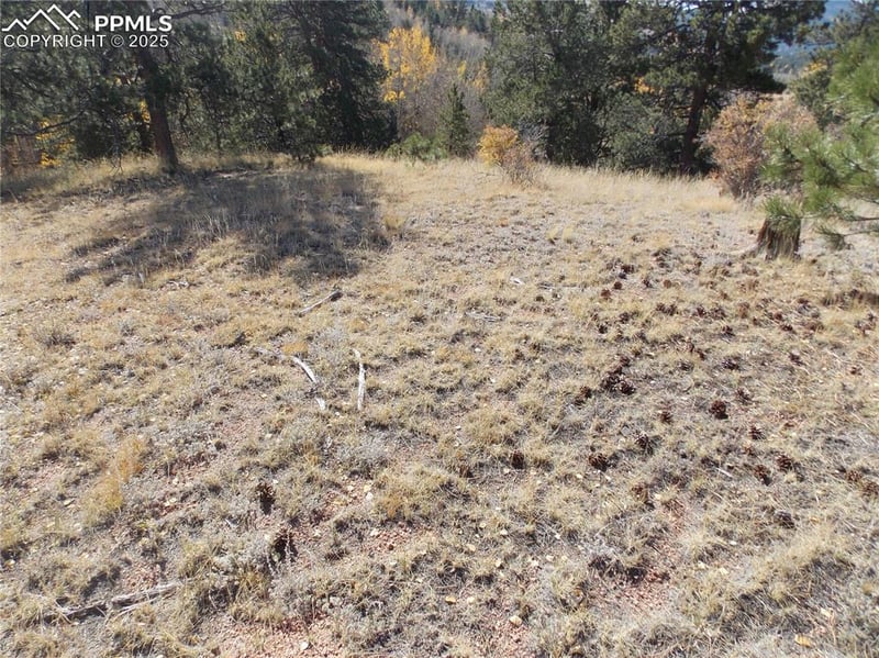 1944 May Queen Dr, Cripple Creek, CO 80813