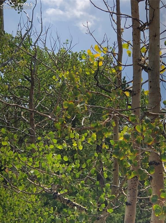 195 Osoeola Rd, Woodland Park, CO 80863