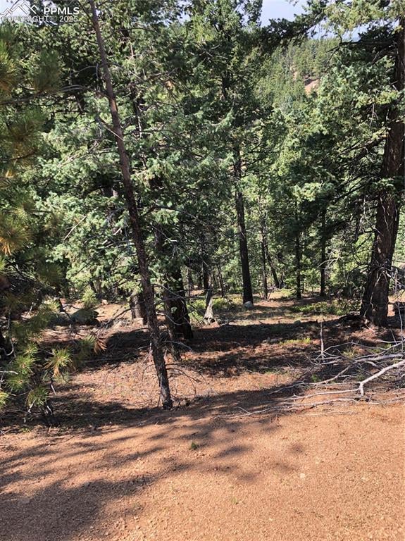 195 Osoeola Rd, Woodland Park, CO 80863