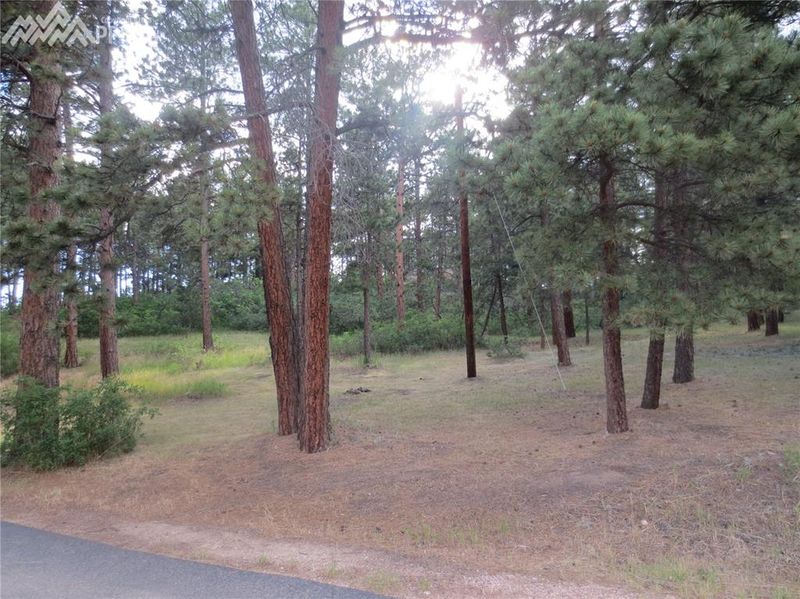 19580 Belatrix Dr, Monument, CO 80132