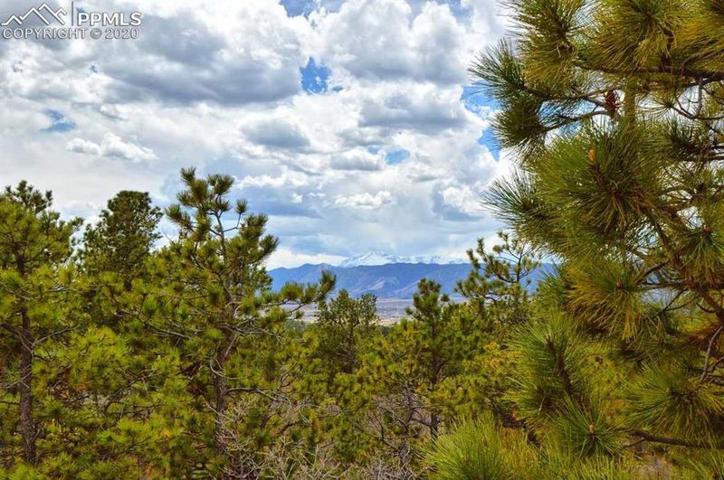 19580 Four Winds Way, Monument, CO 80132