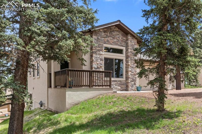 196 Shannon Pl, Divide, CO 80814