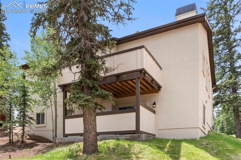 196 Shannon Pl, Divide, CO 80814